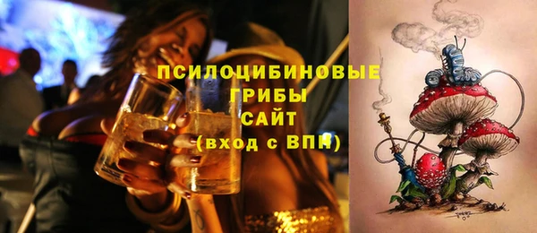 jwh Гусиноозёрск